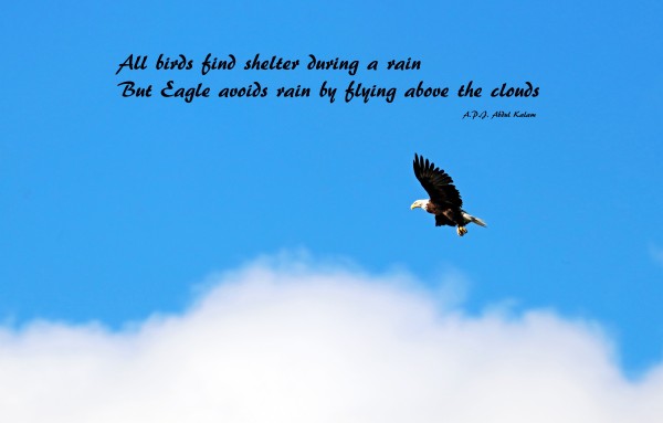 Fly Above The Clouds by Deb Oppermann